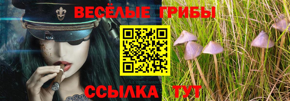 Галлюциногенные грибы Psilocybe  Вход с VPN  Реутов 
