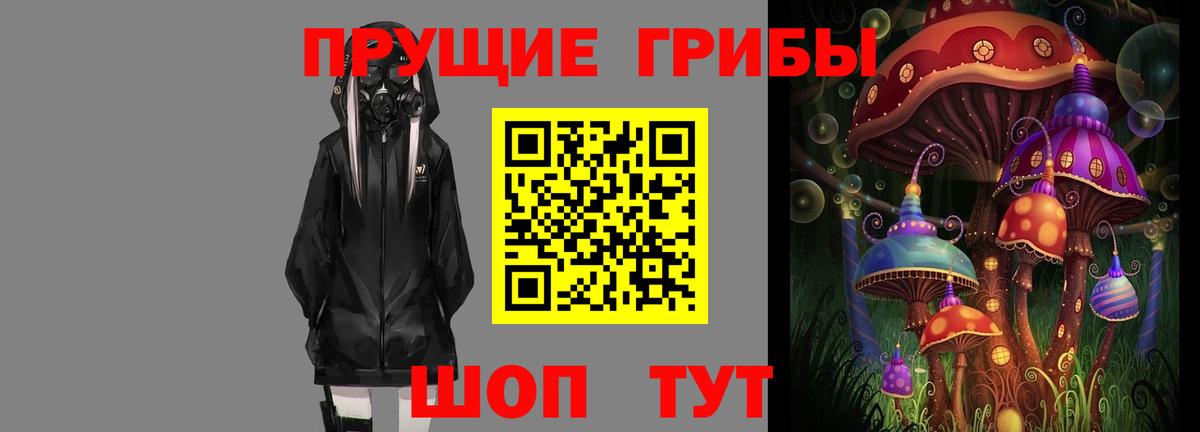 Псилоцибиновые грибы Psilocybe Реутов