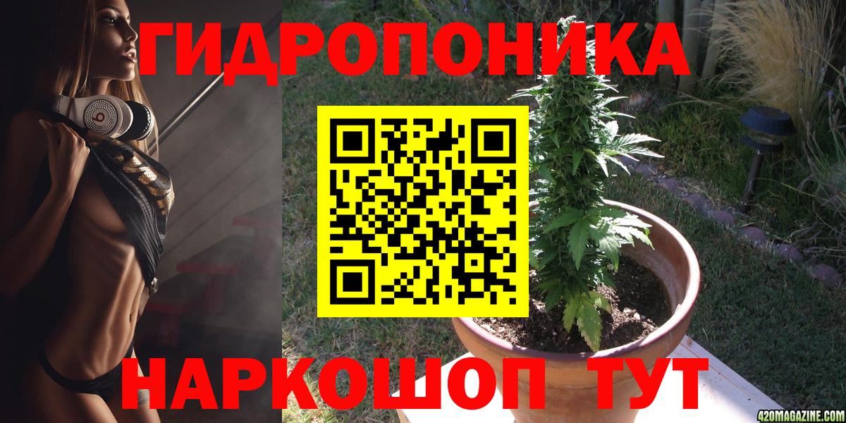 Бошки Шишки VHQ  Вход с VPN  Бошки Шишки индика  Реутов 